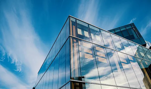 Company establishment